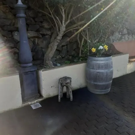 Rincon El Llano فندق *