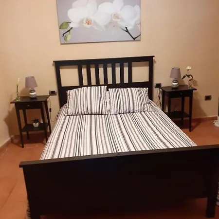 Rincon El Llano * لوس رياليخوس