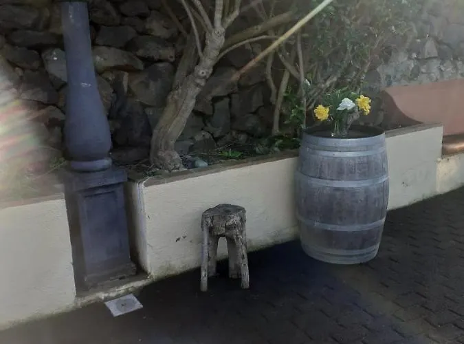 Rincon El Llano Отель *